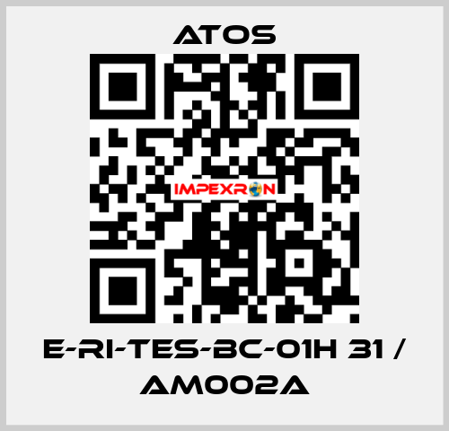 E-RI-TES-BC-01H 31 / AM002A Atos