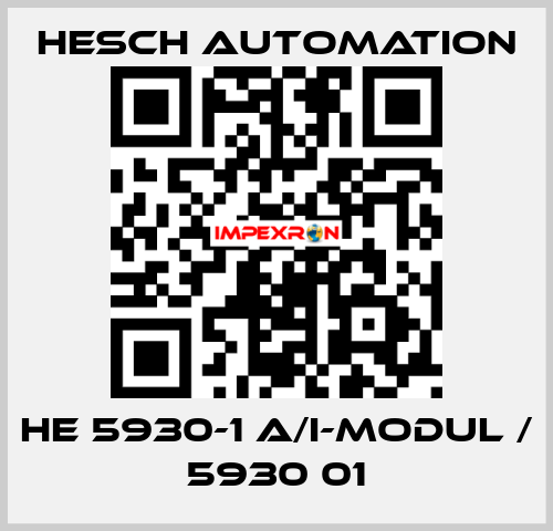 HE 5930-1 A/I-Modul / 5930 01 Hesch Automation