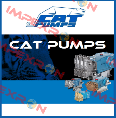 34353  Cat Pumps