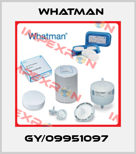 GY/09951097  Whatman
