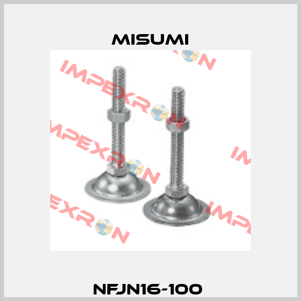 NFJN16-100  Misumi