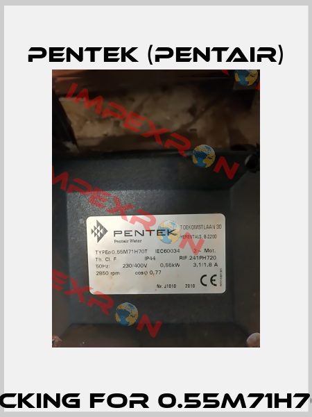 Packing for 0.55M71H70T  Pentek (Pentair)