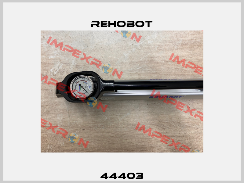 44403 Rehobot