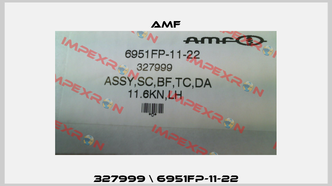 327999 \ 6951FP-11-22 Amf