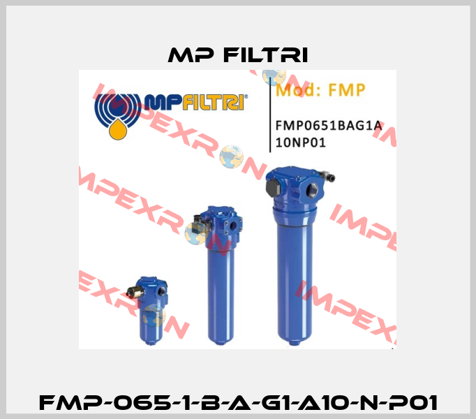 FMP-065-1-B-A-G1-A10-N-P01 MP Filtri