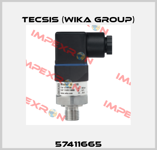 57411665 Tecsis (WIKA Group)