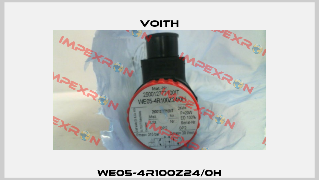 WE05-4R100Z24/0H Voith